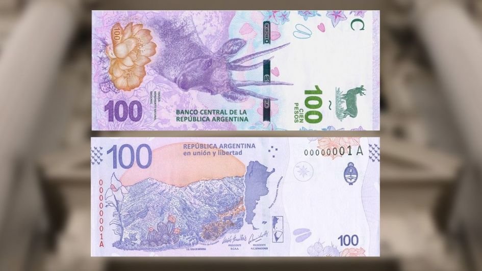 Taruca El Banco Central Presentó El Nuevo Billete De 100 Pesos Consultas Y Tramites Guía De 4918