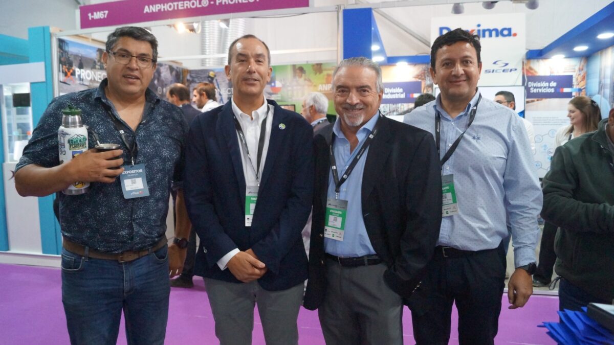 Destacan Cal de Alta Calidad Para Procesos Mineros.