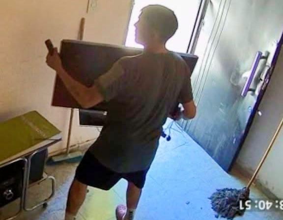 Le robaron el televisor y la garrafa en San Martín: la dueña lo filmó y lo denunció en redes