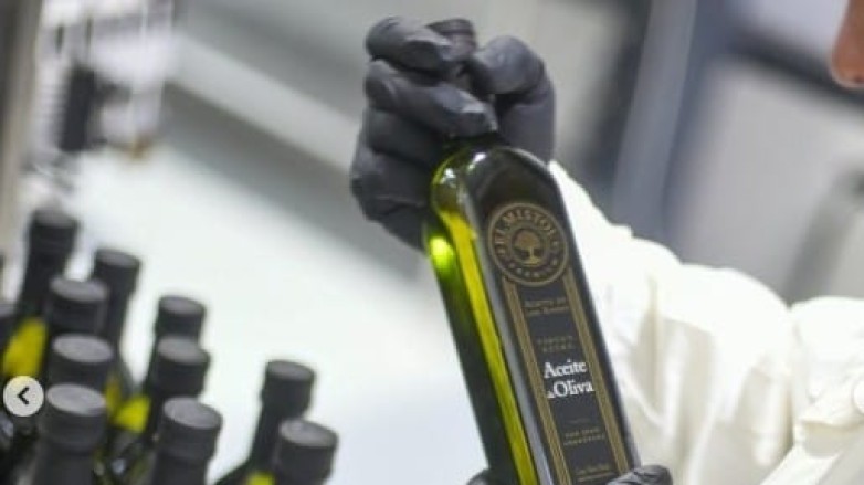 San Juan se consolida como región olivícola líder de Argentina