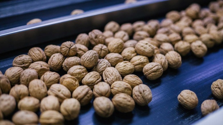 entre la dificultad climática y una recuperación exportadora en marcha