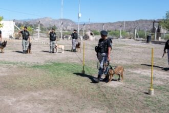 Ankara y Atlas: el retiro de dos perros guardianes del Servicio Penitenciario