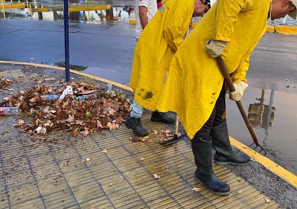 Pronóstico y temperaturas para este viernes 9 de enero
