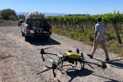 Entrega de insecticida para productores vitícolas de San Juan