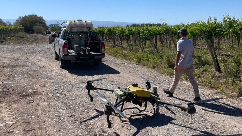 Entrega de insecticida para productores vitícolas de San Juan